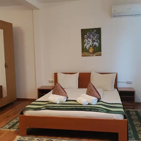 Hotel Prislop *